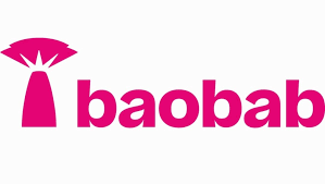 Baobab Business Loan Review - Summary
